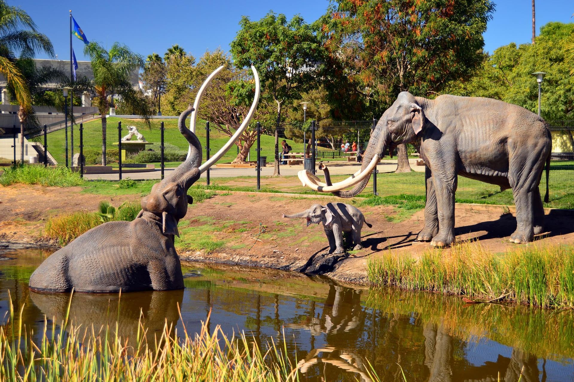 La Brea Tar Pits