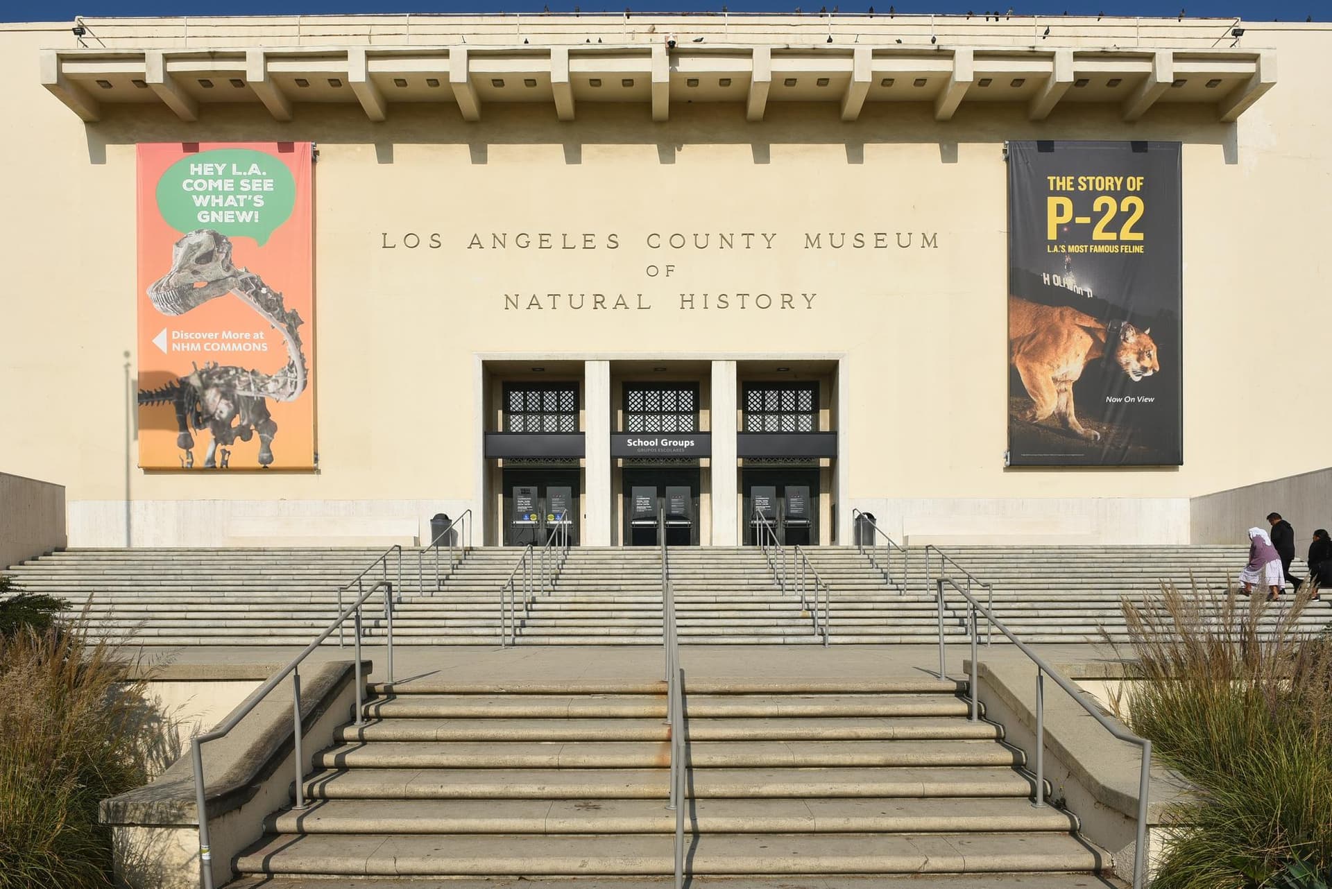 Musée d’histoire naturelle de Los Angeles