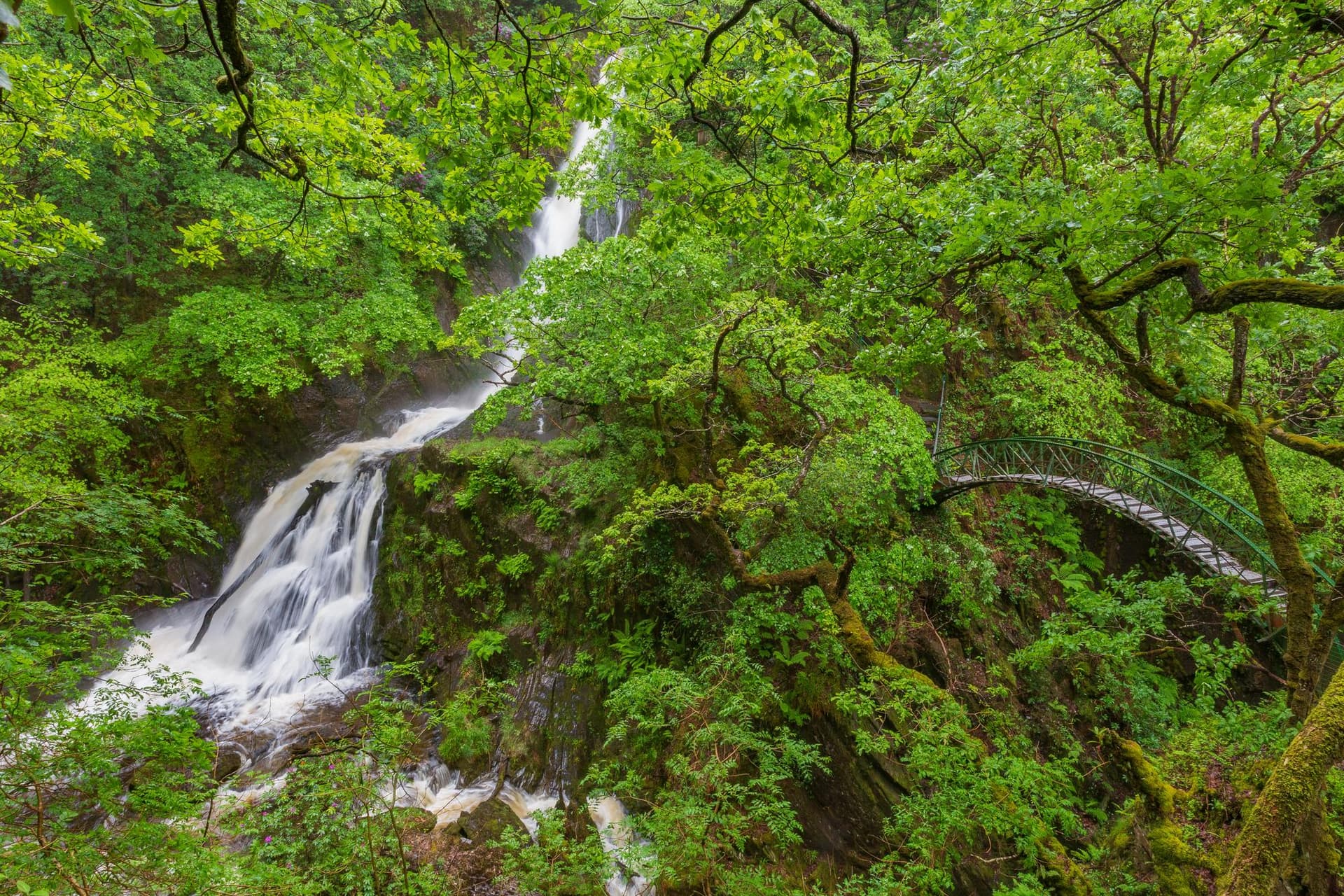 Devil’s Bridge Falls
