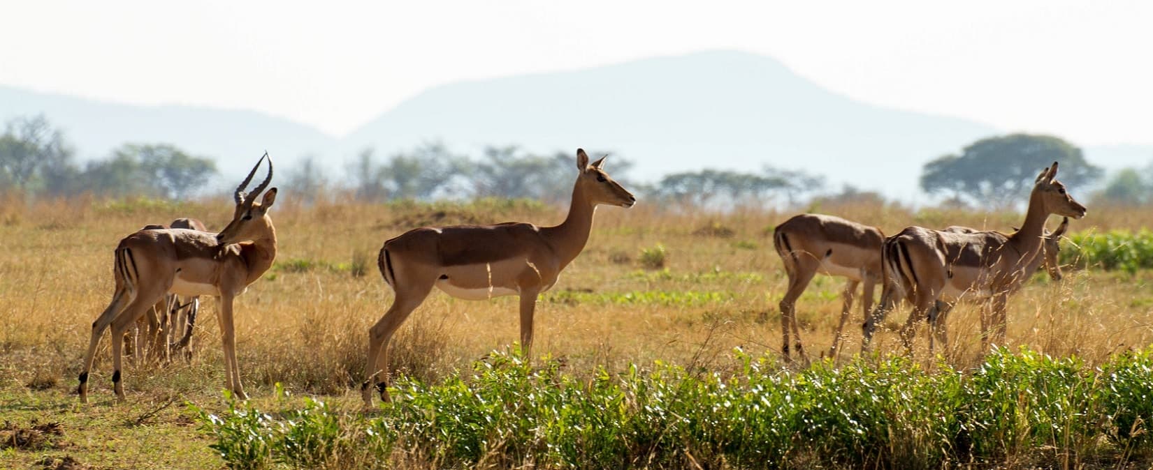 Afrique Du Sud : les meilleures activités à faire
