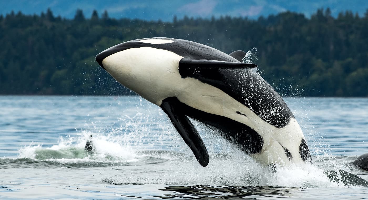 Colombie Britannique : les meilleures activités à faire dans la région