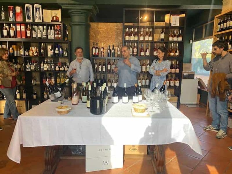 Billet Cascais : Cours et dégustation de vin à Garrafeira de Cascais