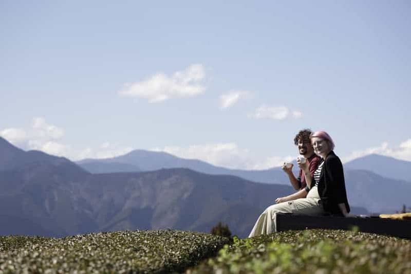 Billet Shizuoka : Visite de la première région de thé du Japon, à proximité du mont Fuji