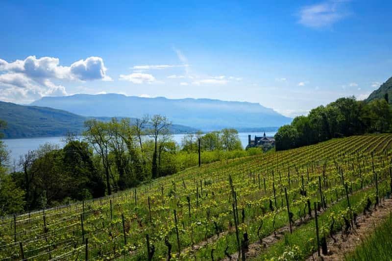Billet Depuis Annecy : Chambotte, Mont Revard & Dégustation de Vins Biodynamiques