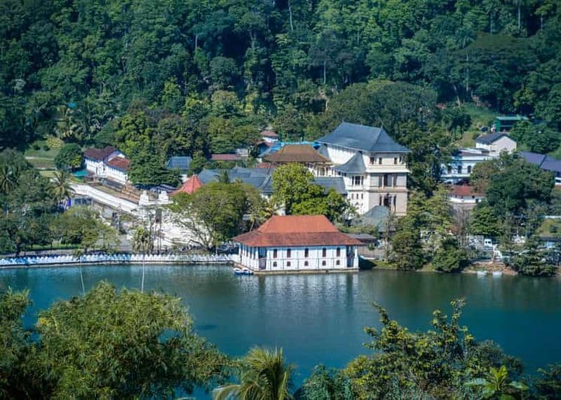Billet Au départ de Bentota : Visite de Kandy avec visite du temple de la Dent et des jardins