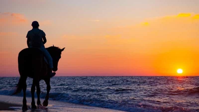 Billet Mascate : Randonnée à cheval sur la plage de l'aventure