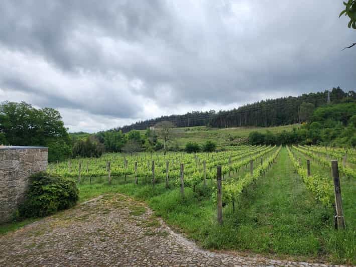 Billet Au départ de Braga : visite d'une jounée à Guimarães et Fafe