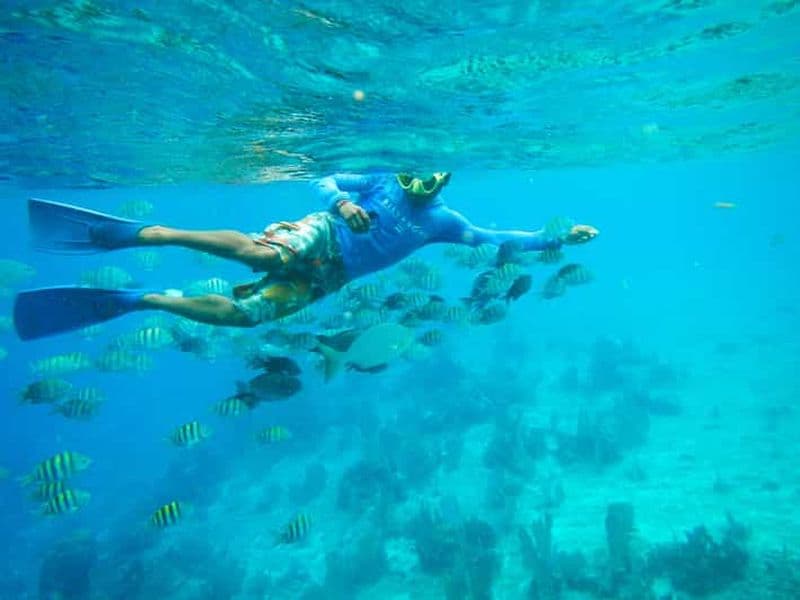 Billet Au départ de Cancún : excursion de plongée en apnée à Cozumel