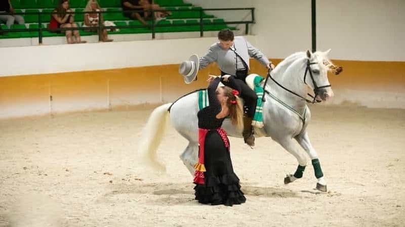 Billet Torremolinos : Spectacle équestre, option dîner, boissons et flamenco