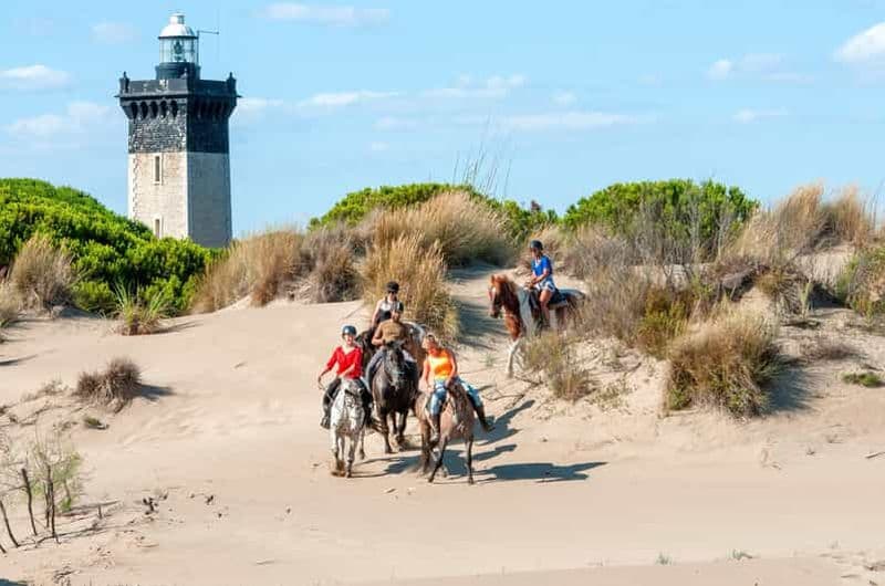 Billet Grau du roi : Promenade à cheval en Camargue