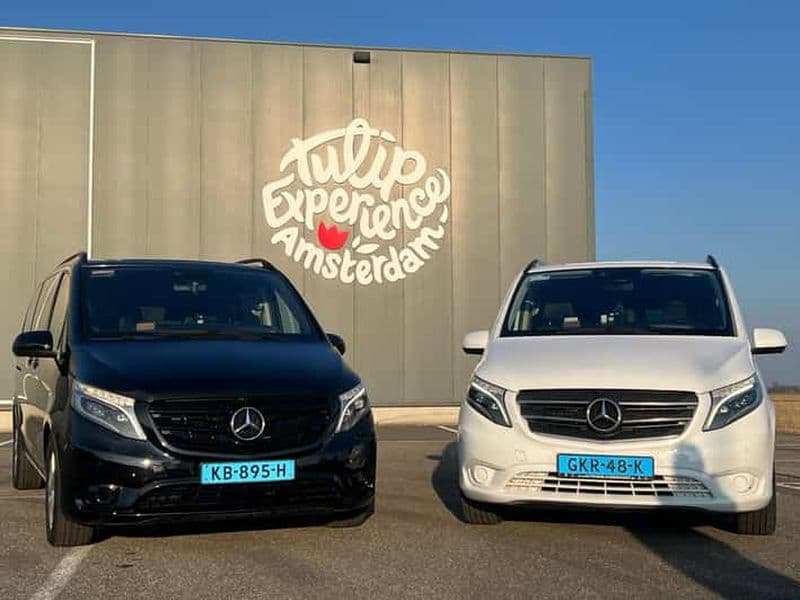 Billet Amsterdam : Visite privée du Keukenhof et expérience gratuite des tulipes