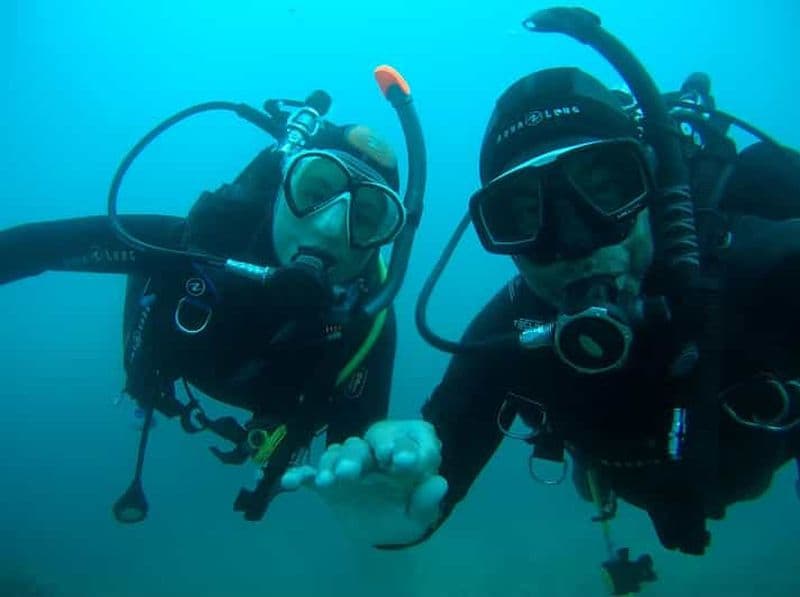 Billet Argelès-sur-Mer : baptême de plongée dans le Parc Naturel Marin