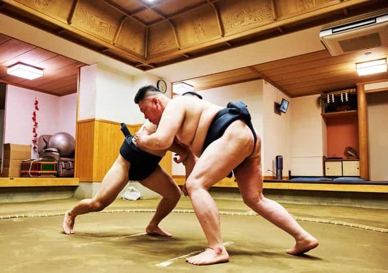 Billet Tokyo : expérience sumo avec spectacle en direct et défi avec le public