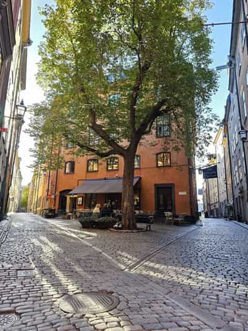 Billet Stockholm : Visite à pied de la vieille ville, histoires et secrets