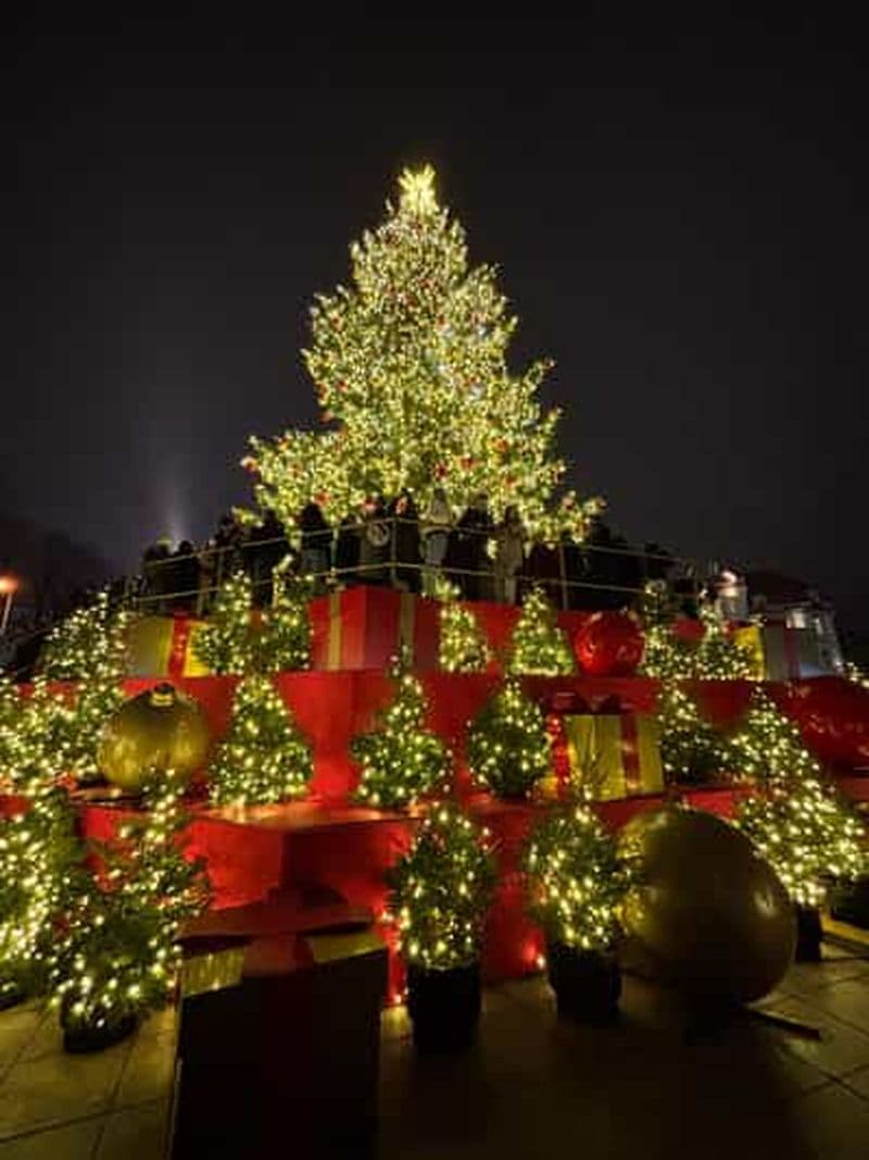 Billet Vilnius : visite de la vieille ville et des traditions de Noël locales