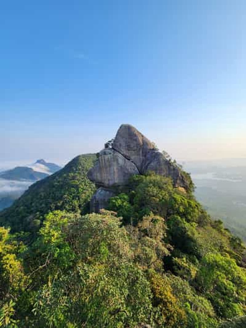 Billet Rio de Janeiro : Randonnée au pic Papagaio dans la forêt de Tijuca