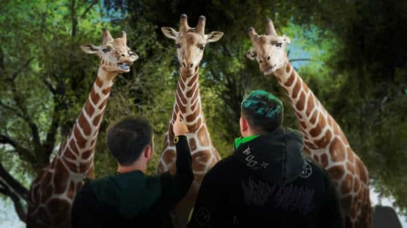Billet Copenhague : Hologram Zoo Africa Adventure 40 minutes
