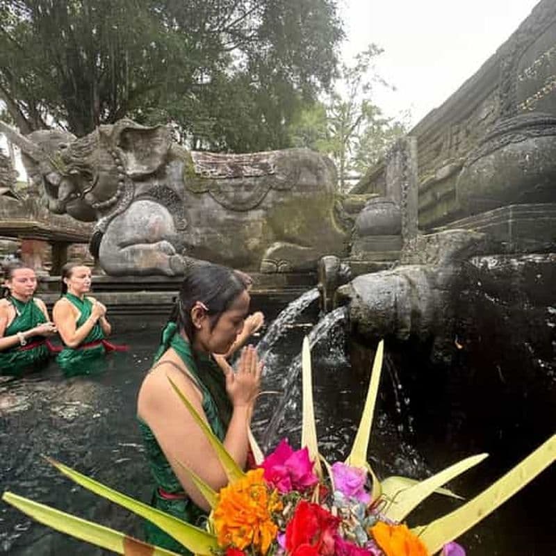 Billet Visite d'Ubud avec un rituel de purification au temple Tirta Empul
