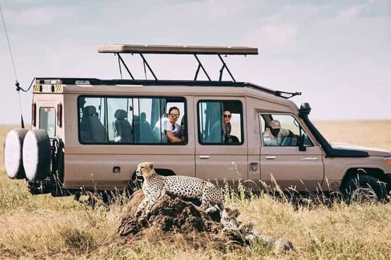 Billet 3 jours de safari au Serengeti avec safari en montgolfière + vols