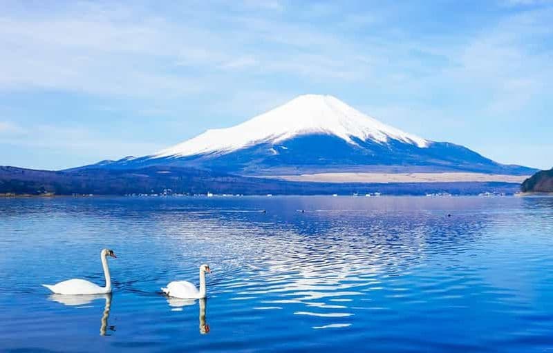 Billet Excursion d'une journée au Mont Fuji, au lac Kawaguchi, à Yamanaka et aux Onsen, au départ de Tokyo