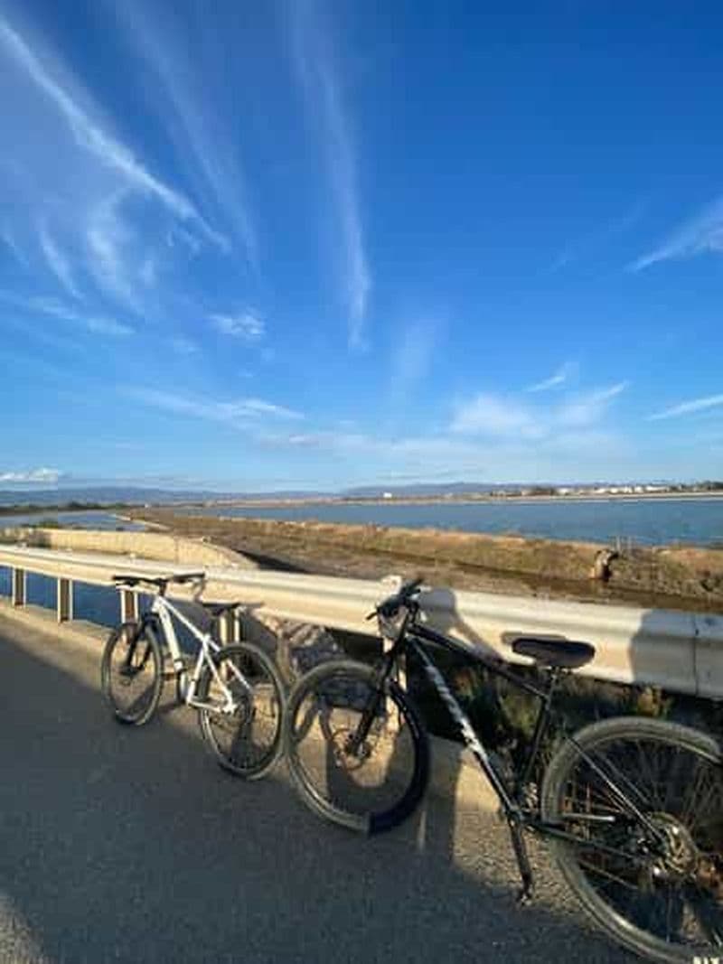 Billet Vélo de livraison pour 6 heures Castello/Molentargius/Poetto/Quartu