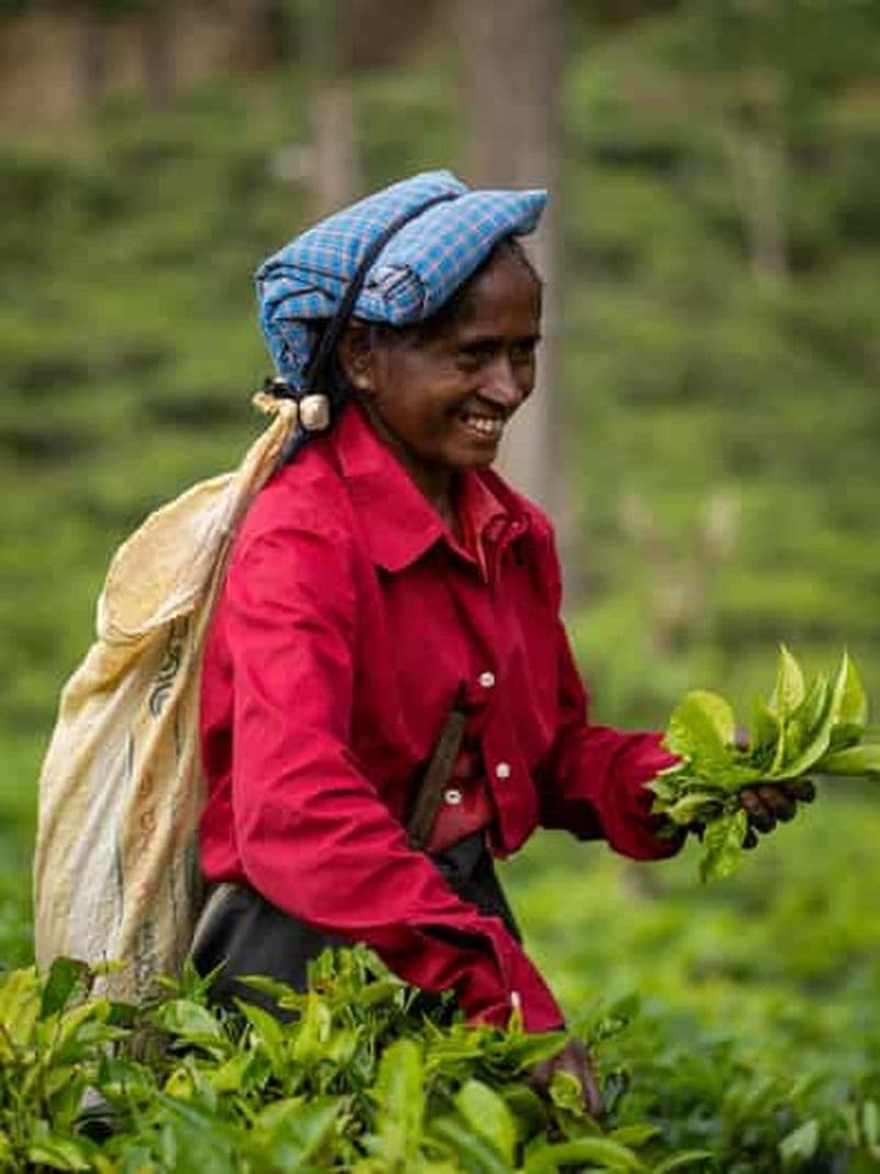 Billet Depuis Ella : Cascades, Pont à Neuf Arches, Petit Pic d'Adam