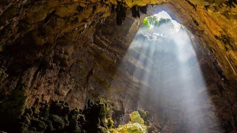 Billet Visite guidée des grottes de Castellana