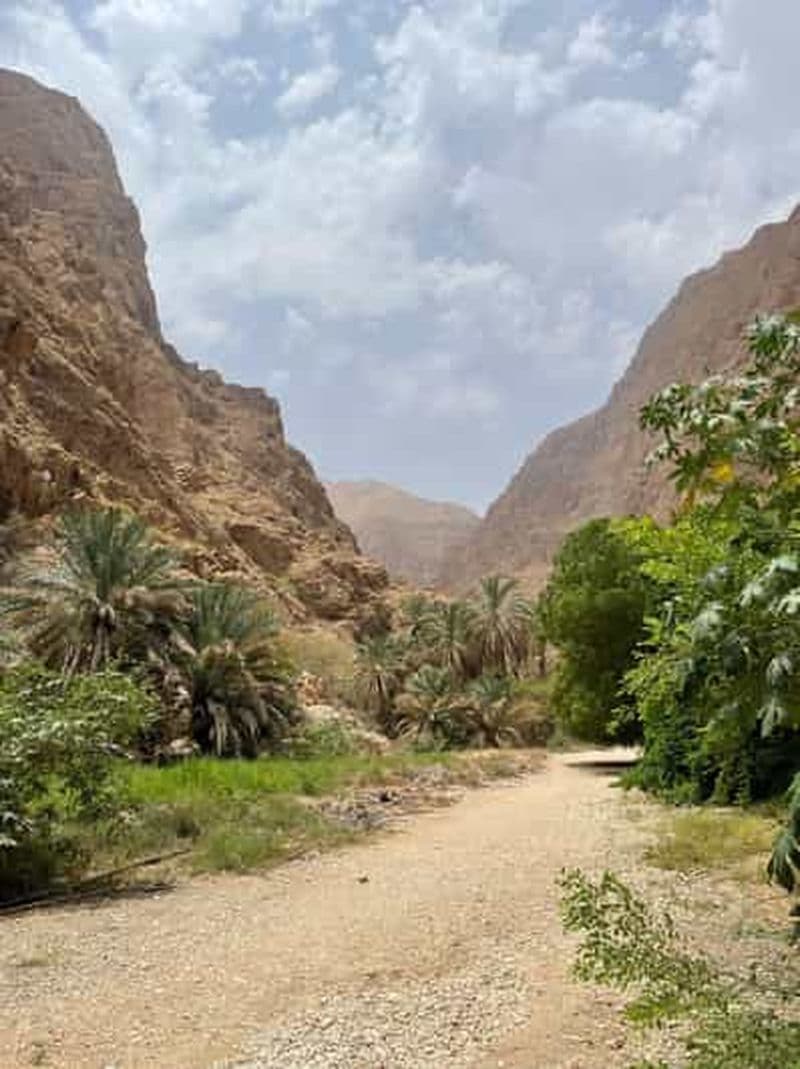 Billet Au départ de Mascate : journée complète Wadi Shab - Plage des palmes - Gouffre de Bimmah
