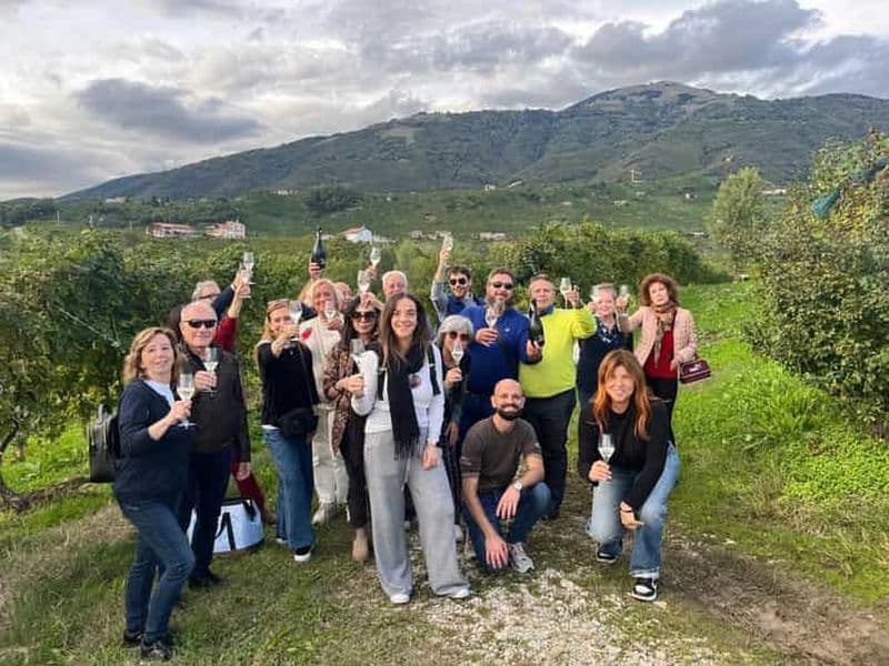 Billet Au départ de Venise : Trévise, Prosecco et dégustation de vins