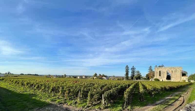Billet Depuis Bordeaux Matinée à Saint-Emilion: Petit-Dejeuner+Visite+Dégustation