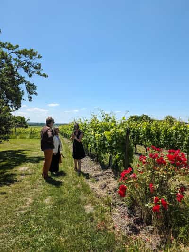 Billet Cognac Escapade 4x4 dans le vignoble et visite/dégustation chez un vigneron