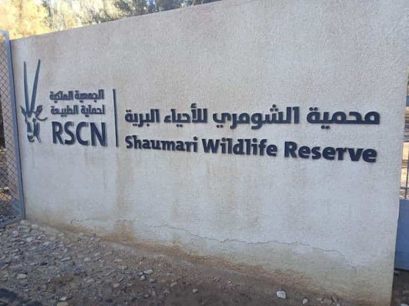 Billet Amman : Excursion privée d'une journée dans les châteaux du désert et la réserve de Shomari