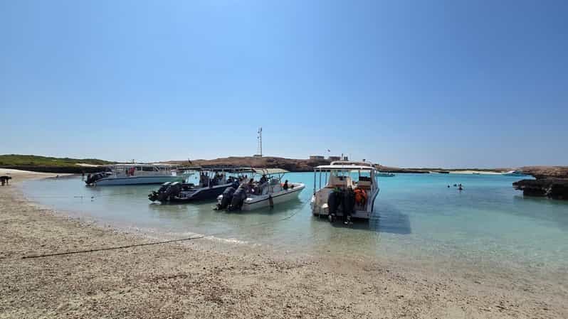 Billet Mascate : excursion en bateau aux îles Daymaniat avec plongée et déjeuner