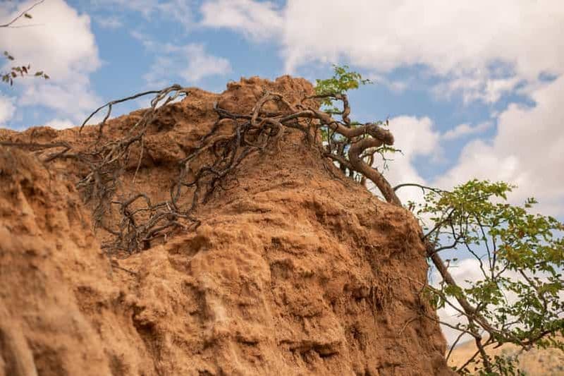 Billet Visite culturelle des piliers de Malape à Liwonde