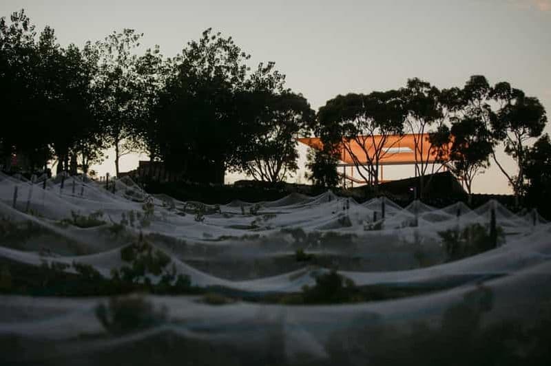 Billet La grande journée de Moorilla à Mona - Dégustation de vin et déjeuner