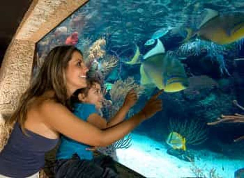 Billet Combo 3 jours Xcaret, Xel-Ha & Chichen Itza avec nourriture et boissons