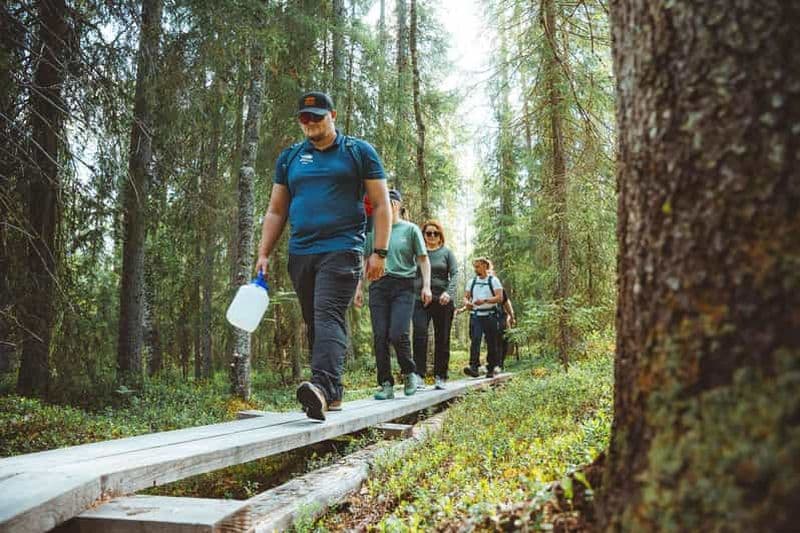 Billet Rovaniemi : Visite guidée dans la zone de trekking du cercle arctique