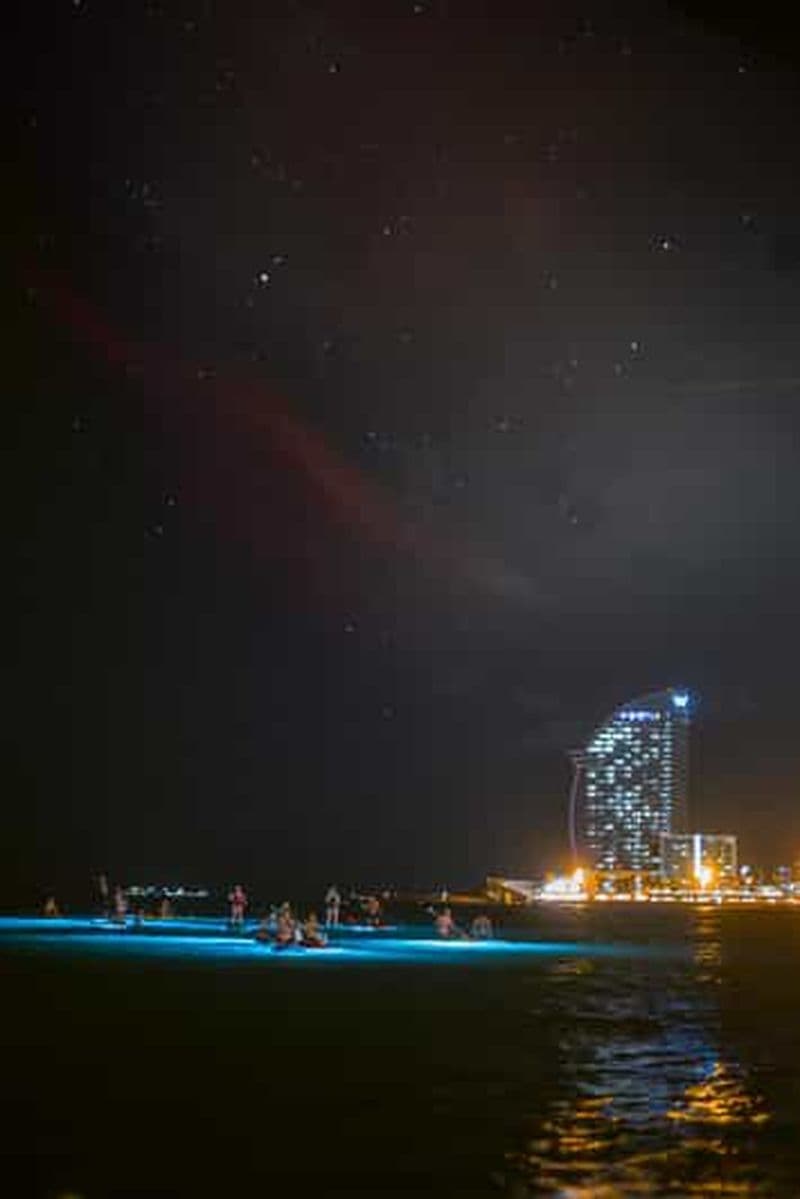 Billet Paddle surf de nuit avec lumière et boisson -photos &videos