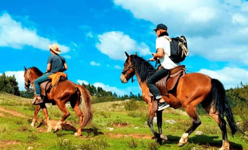 Billet Randonnée à cheval à travers Sacsayhuaman, Qenqo et la forêt d'eucalyptus.