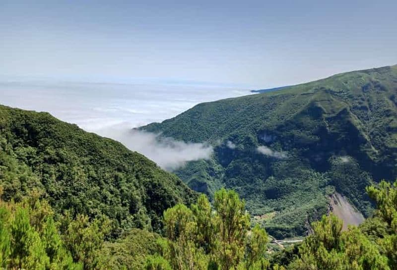Billet Promenade dans la forêt de Fanal et repas