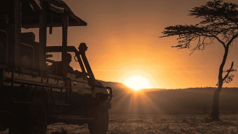 Billet Safari de 2 jours à Etosha depuis Windhoek – Lions, éléphants et plus encore