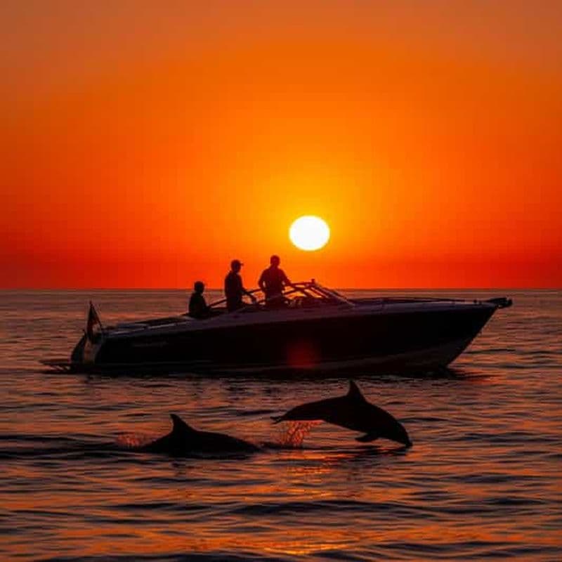 Billet Admirez le coucher de soleil avec les dauphins dans le parc national de Brijuni à bord d'un hors-bord
