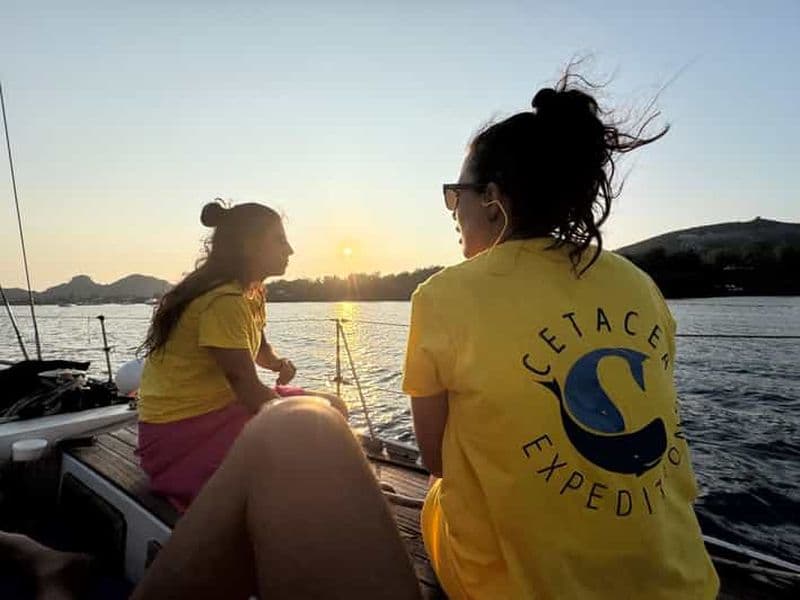 Billet Observation des dauphins au lever du soleil