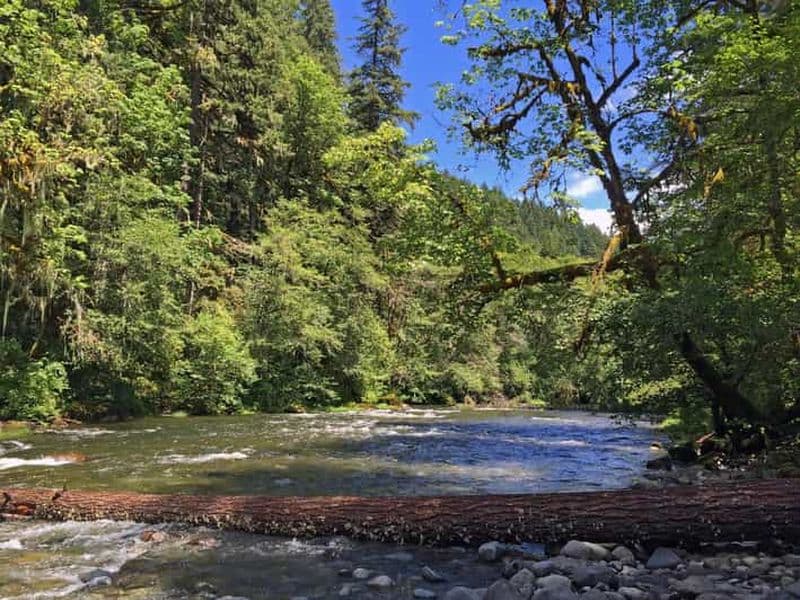 Billet Agadir/Taghazout : Visite d'une demi-journée de la vallée du Paradis avec déjeuner
