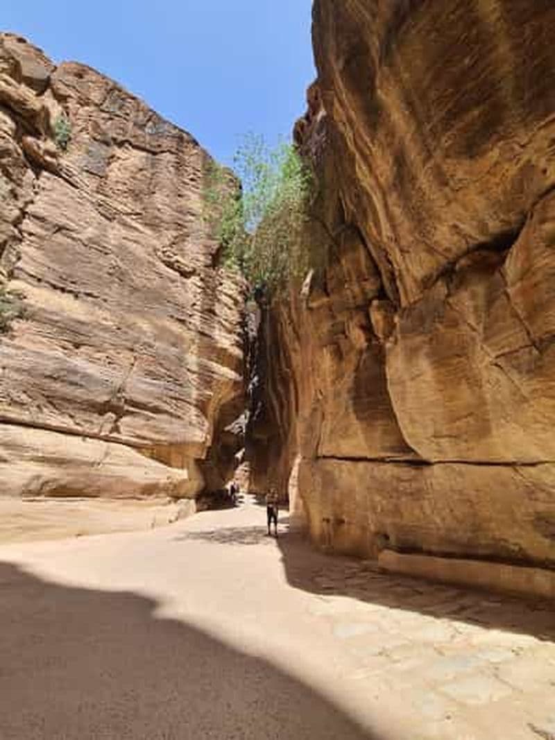 Billet Petra le phénomène