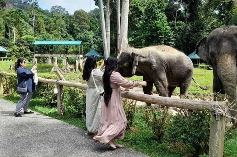 Billet Kuala Lumpur : Kuala Gandah et Batu Caves (excursion privée)