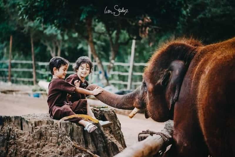 Billet Depuis Chiang Mai : Visite du parc écologique des éléphants de Kerchor