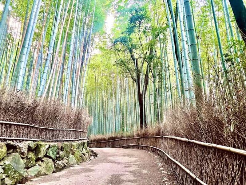 Billet Kyoto : visite de la forêt de bambous d'Arashiyama et des jardins