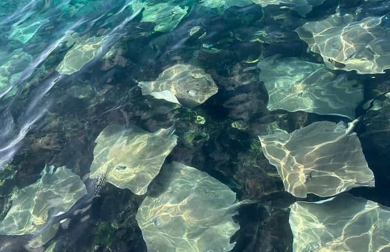 Billet Maldives : snorkeling avec des raies pastenagues et 3 récifs coralliens