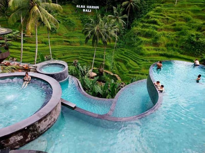 Billet Bali : Visite de Cretya Ubud et du Sanctuaire de la forêt des singes